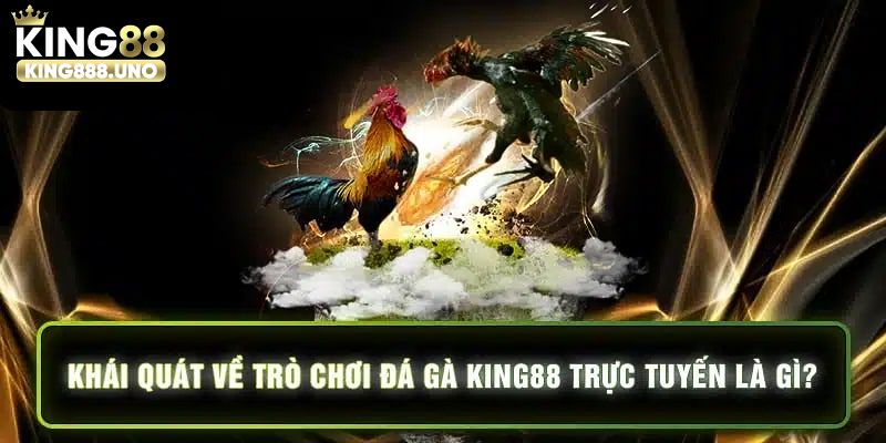 Giới thiệu khái quát về đá gà trực tiếp King88