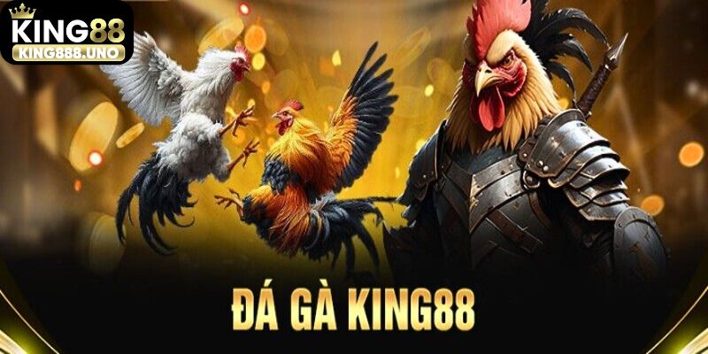 Quy tắc cơ bản trong đá gà casino King88