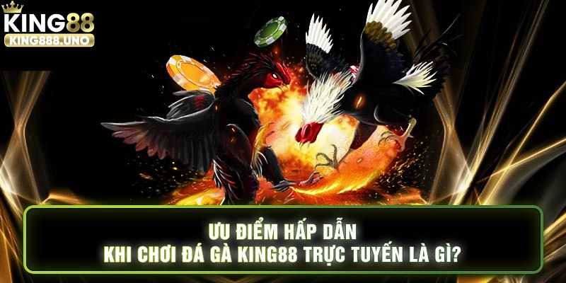 Ưu điểm giải trí có tại đá gà trực tiếp King88