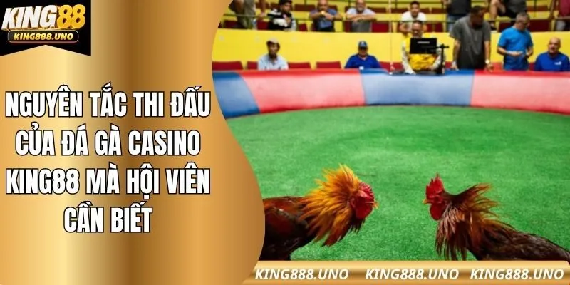 Nguyên tắc thi đấu của đá gà casino king88 mà hội viên cần biết