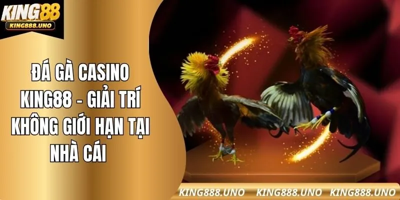 Đá gà casino king88